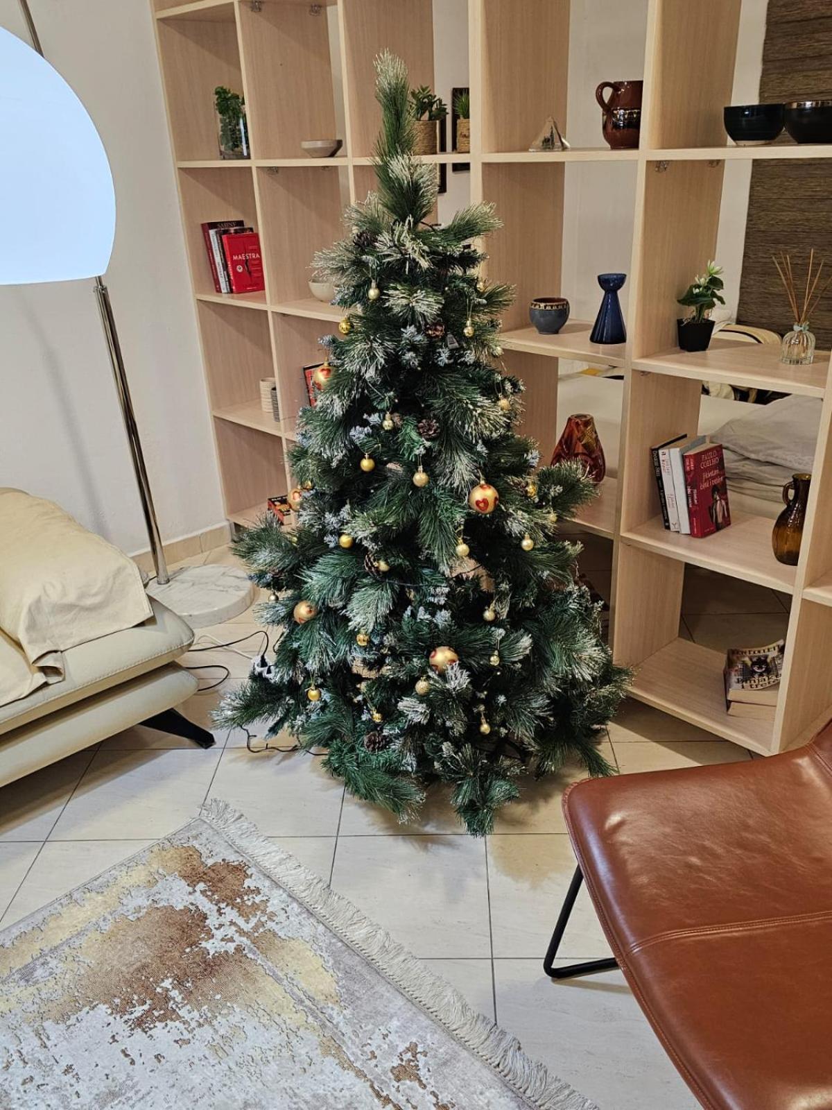 Center 12 Apartament